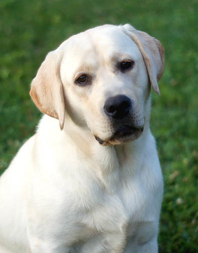 Thor 10 Months